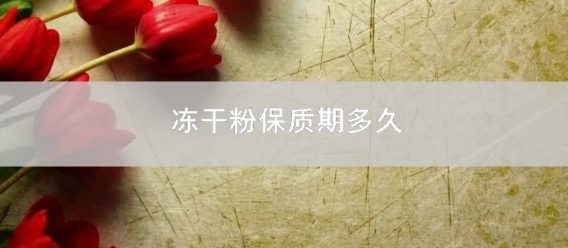 冻干粉保质期多久