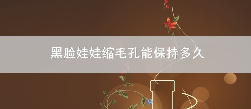 黑脸娃娃缩毛孔能保持多久