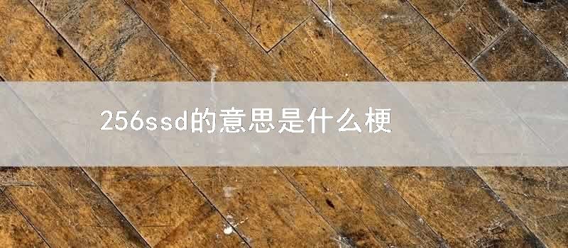 256ssd的意思是什么梗