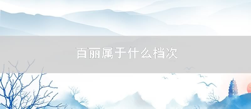 百丽属于什么档次