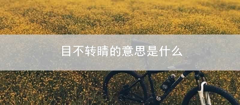 目不转睛的意思是什么