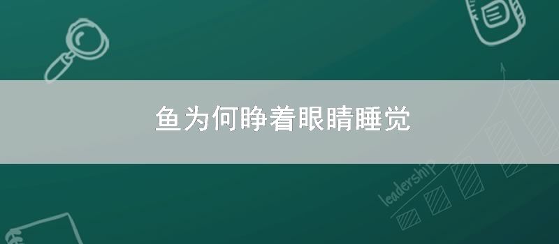 鱼为何睁着眼睛睡觉