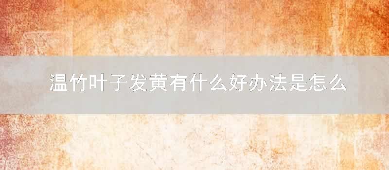 温竹叶子发黄有什么好方式是如何回事