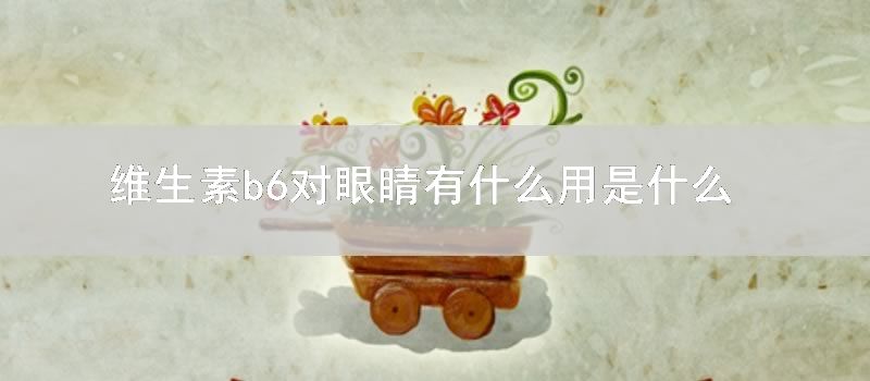 维生素b6对眼睛有什么用是什么