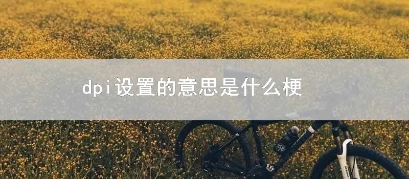 dpi设置的意思是什么梗