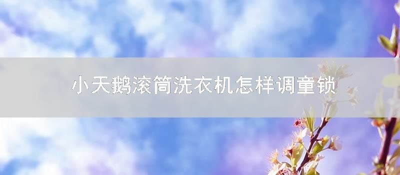 小天鹅滚筒洗衣机怎样调童锁