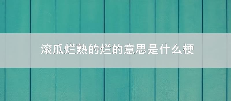 滚瓜烂熟的烂的意思是什么梗