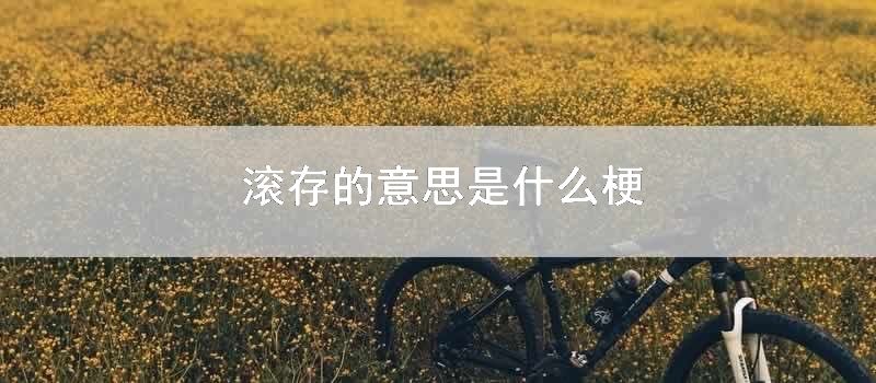 滚存的意思是什么梗