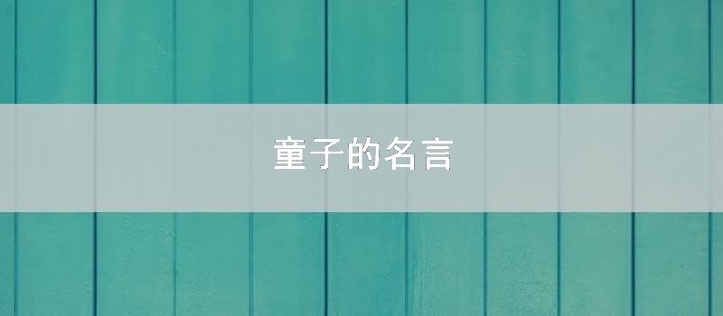 童子的名言