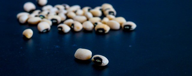 豆子如何种 豆子种植次序