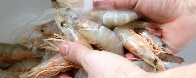 如何保存虾 鲜虾的保存要领