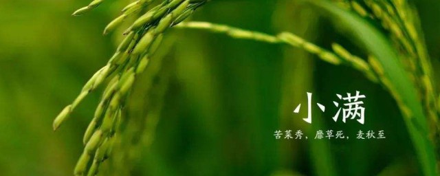 小满节气的说说 小满节气说说朋友圈句子