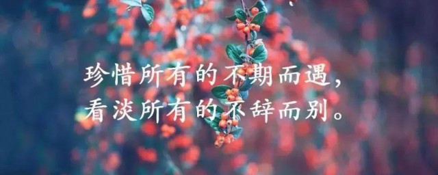 感情句子伤痛 感情句子伤痛有哪些