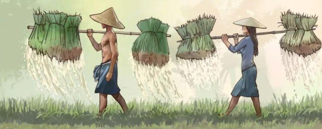 谷雨的来历和风俗 谷雨的由来以及风俗