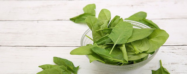 菠菜能生吃吗 菠菜有什么营养