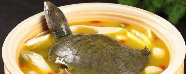 清蒸甲鱼最正宗的做法 清蒸甲鱼最正宗的制作方法