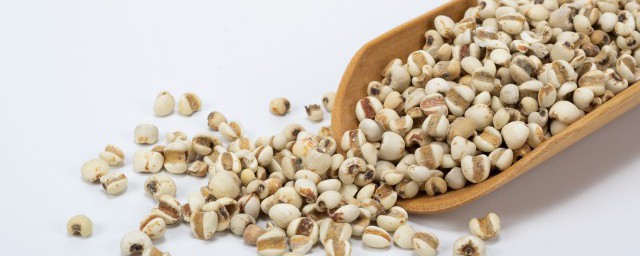 薏仁米怎么吃去湿气 薏米去湿气的吃法