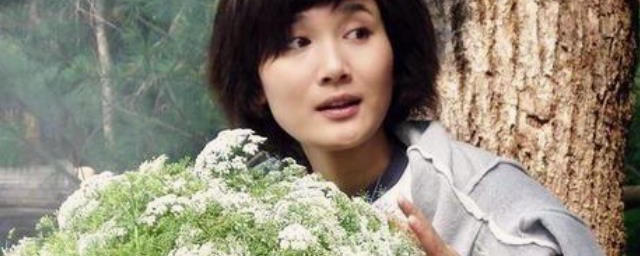潘雨辰个人资料介绍 关于潘雨辰的介绍