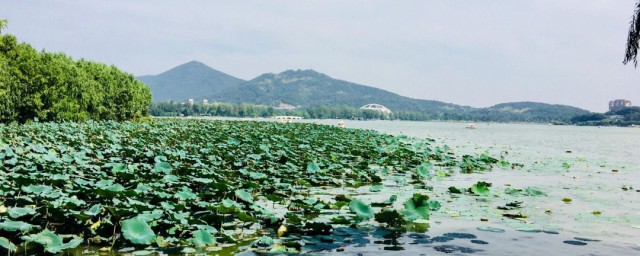 玄武湖开放时间游玩指南 玄武湖开放的具体时间游玩指南