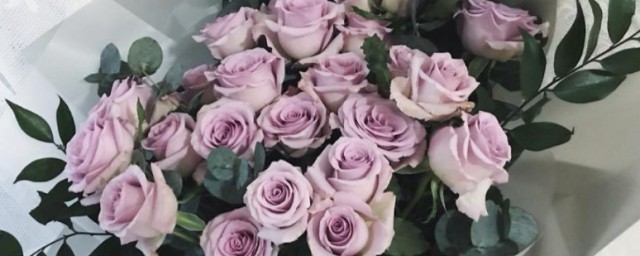 海洋之歌花语 海洋之歌花语介绍