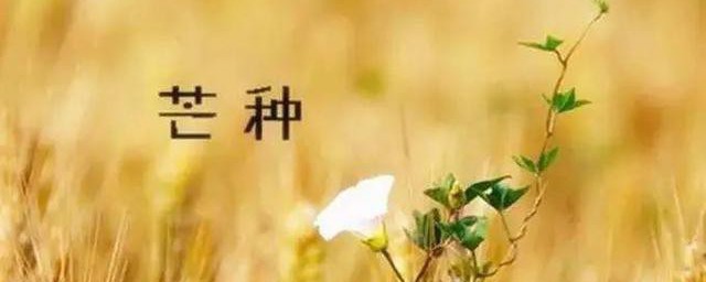 芒种养生祝福语 芒种养生祝福语简单介绍