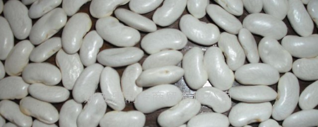 白芸豆保存办法 白芸豆保存要领