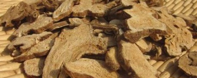 党参和白术一起煮水喝的作用与忌讳 白术的搭配