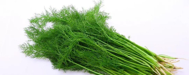 茴香饺子馅怎么调好吃 猪肉茴香馅的调制方法