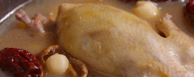 鸽子怎么炖好吃 鸽子怎么炖好
