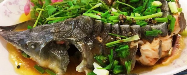 炖鲟鱼的做法大全家常 如何炖鲟鱼