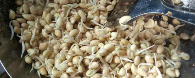 豆嘴怎么做好吃 豆嘴如何做好吃