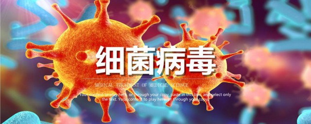 细菌感染和病毒感染有什么区别 关于细菌感染和病毒感染的区别