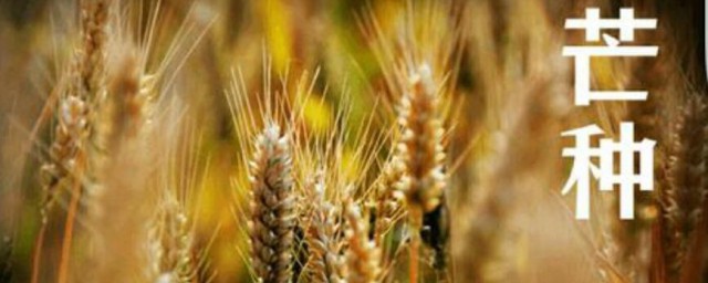 2023年芒种财神在哪个方向 2023年芒种财神得位置