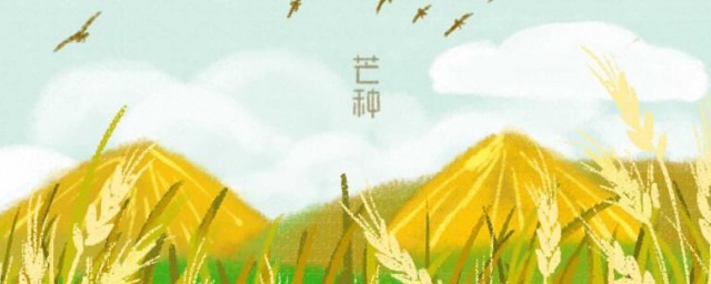 2021年芒种一候是指什么意思 2021年芒种一候是啥