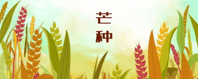2021芒种注意什么 2021芒种注意事项详细