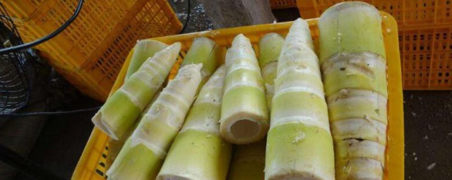 鲜冬笋能冷冻保存吗 鲜冬笋能不能冷冻保存