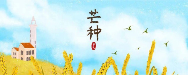 2021年芒种是第九个节气吗 芒种节气的含义