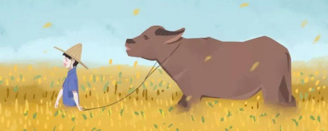 2023年芒种是几月几日 芒种的习俗有什么