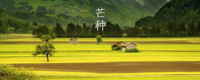 芒种节气名称的含义 芒种节气是第几个呢