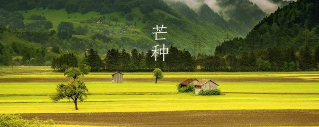 芒种三候是什么意思 芒种是一个节气吗