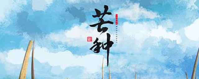 芒种节气养生粥有哪些 芒种养生需要如何做