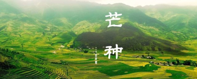 2023年芒种是入宅黄道吉日吗 2023年芒种入宅好吗