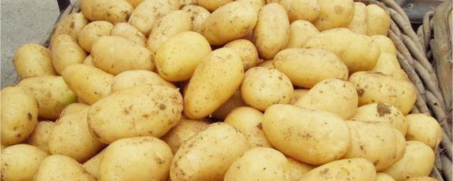 土豆怎么保存好 土豆怎么保存好方法