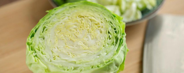 菜包怎么储藏 菜包的储藏方法