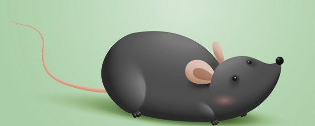 小老鼠上灯台儿歌歌词 儿歌小老鼠上灯台简介