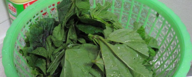 冬葵菜的做法 冬葵菜怎么做