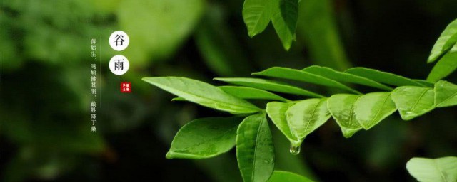 谷雨节气的特点和风俗 谷雨节气的风俗简介
