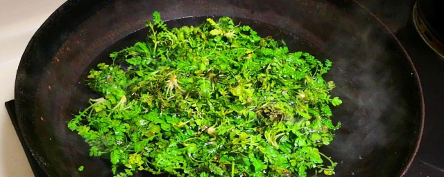 荠菜忘记焯水了怎么办 荠菜忘记焯水了怎样处理