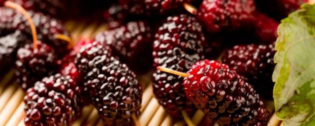 桑葚表面的毛须是什么 桑葚表面的毛须介绍