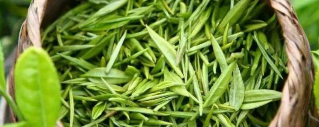 炒青绿茶有哪些 炒青绿茶的五种茶简介